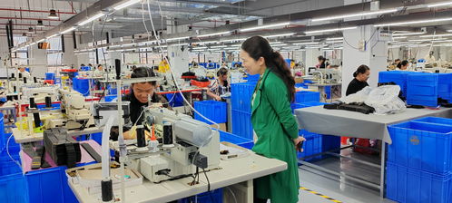 藍(lán)山委員提案助推產(chǎn)業(yè)大發(fā)展，央廣網(wǎng)聚焦社會(huì)經(jīng)濟(jì)咨詢(xún)服務(wù)