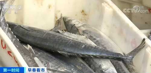 浙江舟山 年后首批新鮮漁獲運(yùn)抵碼頭 水產(chǎn)交易繁忙